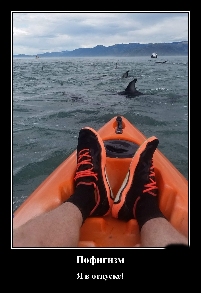 Podborka luchshikh demotivatorov 511 044